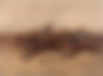 Cavaliers (preview)