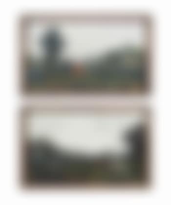 A pair of Chinese export reverse-painted mirror pictures (preview)