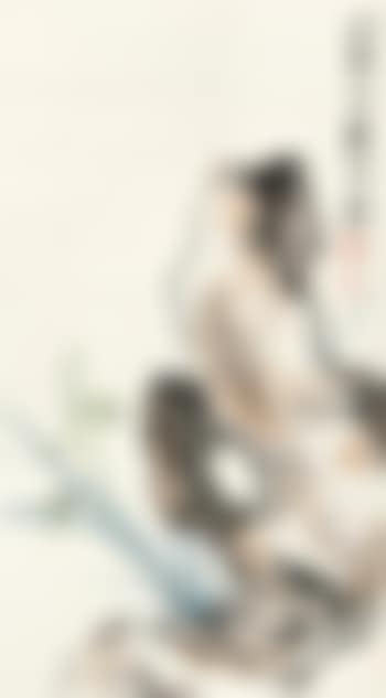Orchid And Rock (preview)