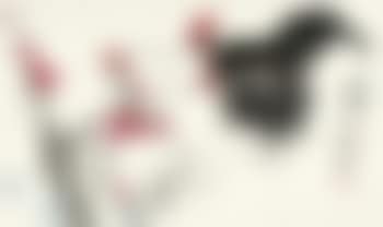 Cock And Flowers (preview)