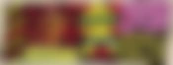 Sans titre (preview)