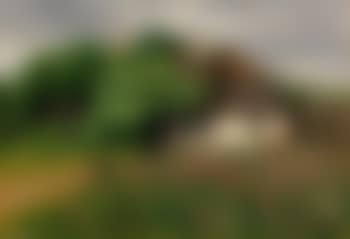 Bauernhaus mit Blumenwiese (preview)