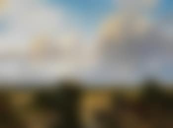Holländische Landschaft mit Blick auf Haarlem (preview)