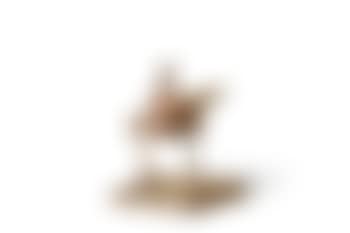 Poule (preview)