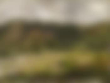 Eine Strasse Bei Pillnitz (preview)