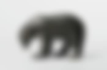 Ours Brun, Dit Aussi Ours Noir Ou Ours à Miel (preview)
