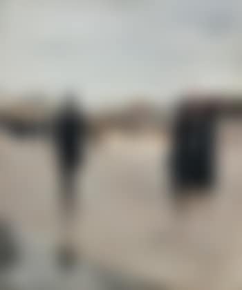 Leaving Montmartre Cemetery (preview)