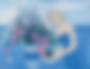 Grand Bouquet Devant La Mer (preview)