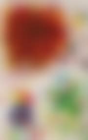 SF-319 (preview)