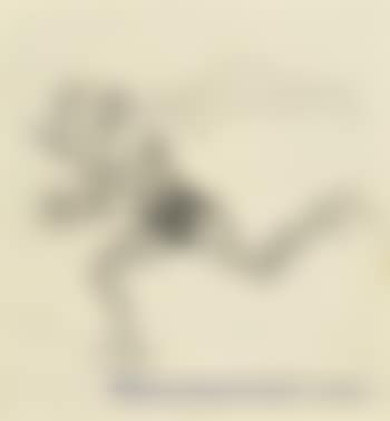 The Trickster (preview)