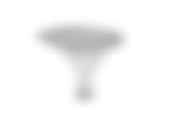 A Chanterelle Art Piece (preview)