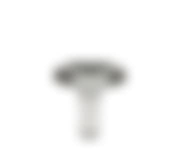 A Mushroom Art Piece (preview)