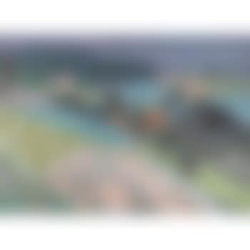 Bei Borisried. (preview)