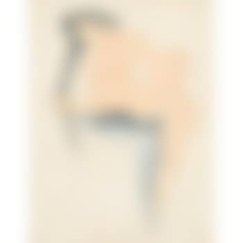 Femme nue aux cheveux longs. (preview)