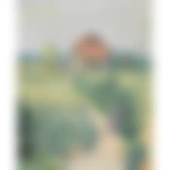 Sonniger Gartenweg. (preview)