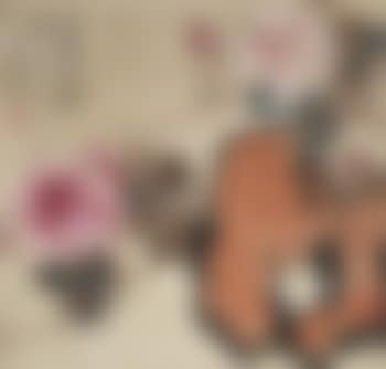 Rose (preview)