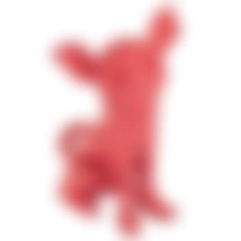 Cloned Pink Chihuahua (preview)