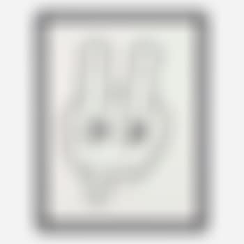 Untitled (Bunny) (preview)