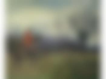 Fox on the run (preview)