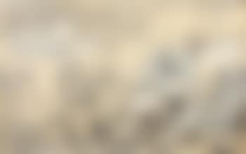 Landscape (preview)
