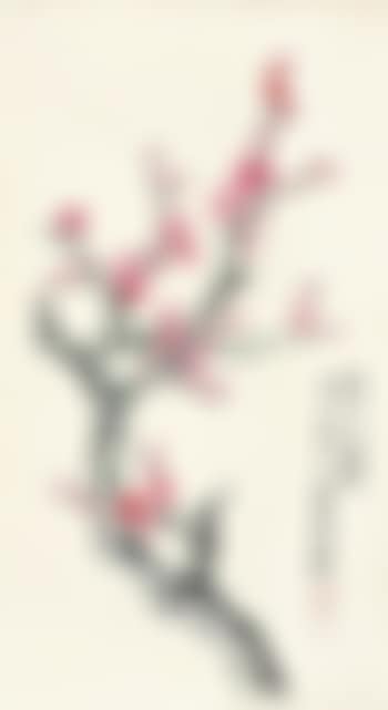Plum (preview)