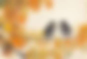 Birds And Leaves (preview)