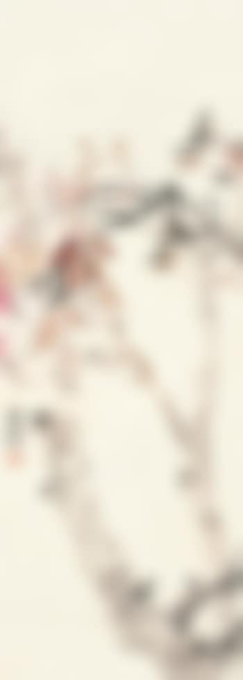 Birds And Flowers (preview)