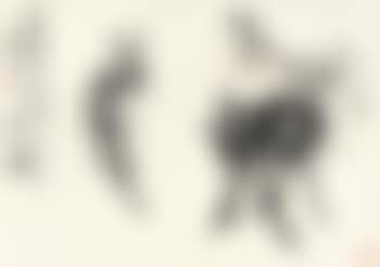 Donkeys (preview)