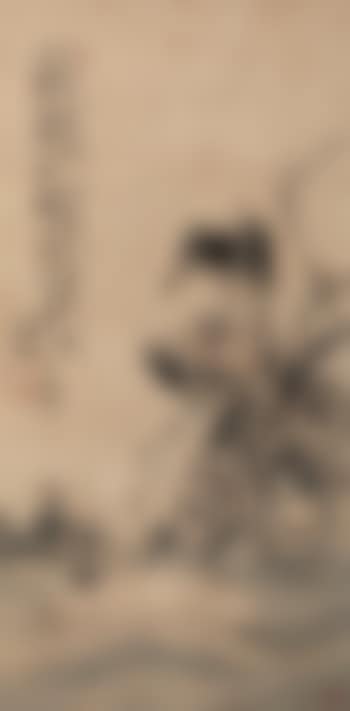 Bird (preview)