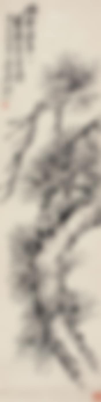 Pine (preview)