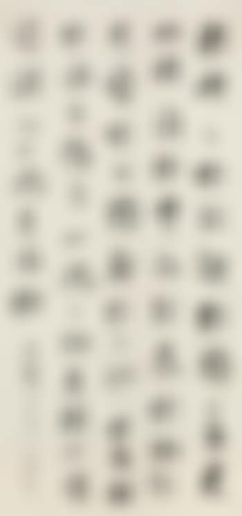 Calligraphy (preview)
