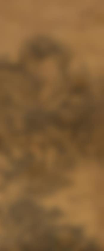 Landscape (preview)