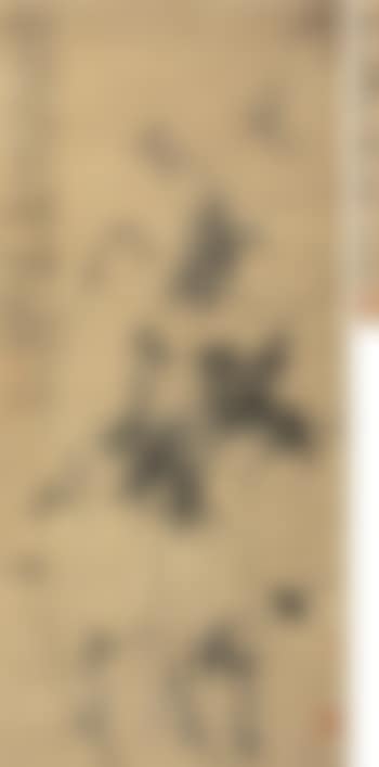 Bamboo And Rock (preview)