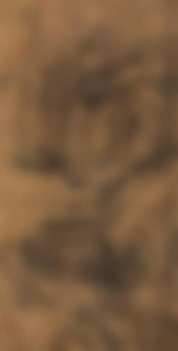 Character And Landscape (preview)