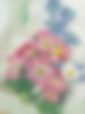 Pink Roses and Larkspur (preview)