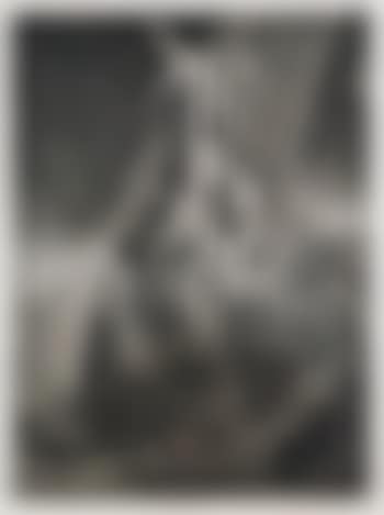 The descent from the cross: second plate (preview)