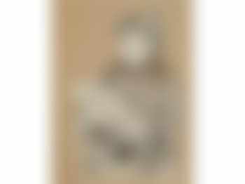 Le lecture (preview)