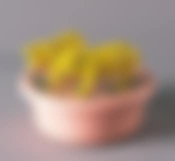 Two cloned yellow hippos (preview)