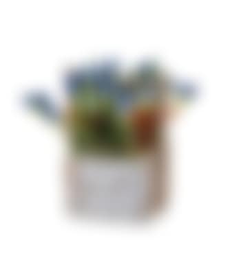 Senza titolo (preview)