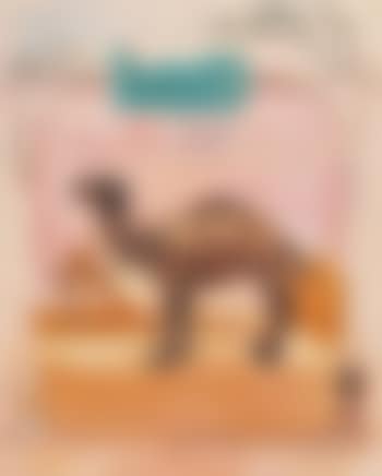Beyond Camels (preview)