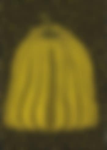 Untitled (Pumpkin) (preview)