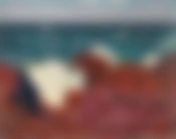 Red Rocks And Sea (preview)