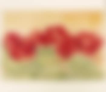 Rote Rosen (preview)
