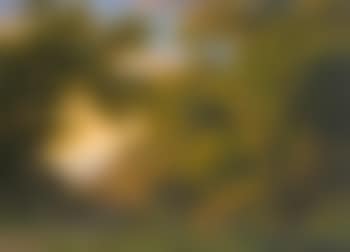 Figures In a Wooded Landscape (preview)