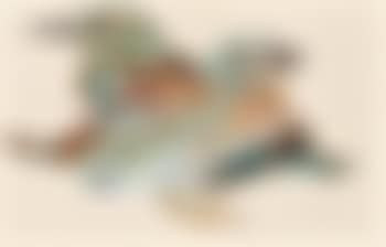 Spatzenpaar (preview)