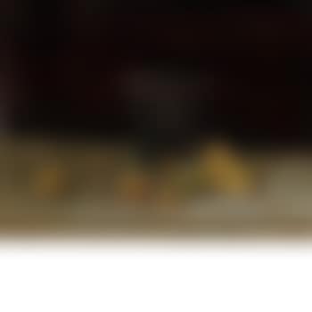 Still Life with Cherry Plums (preview)