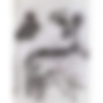 Untitled (preview)
