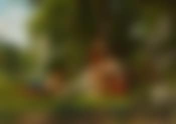 In The Palace Grounds (preview)