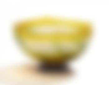 Bowl with Fern Decor (preview)