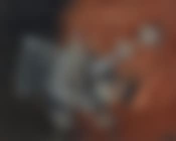 Pájaro Espectral (preview)